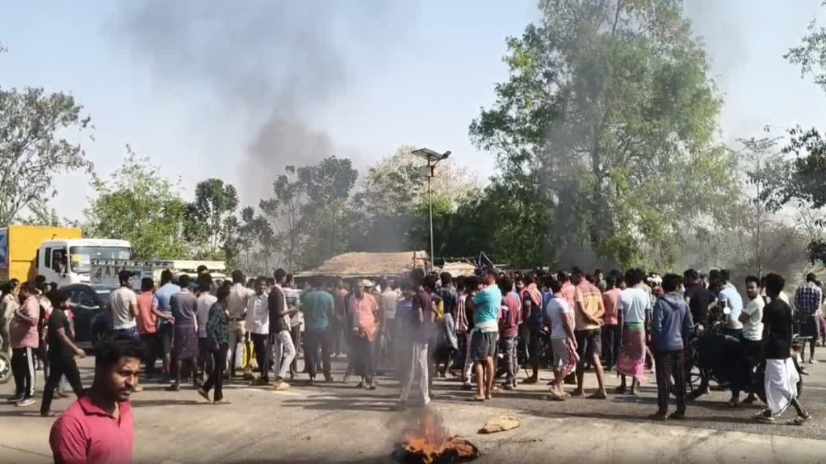 Elderly Man Killed In Elephant Attack In Mayurbhanj