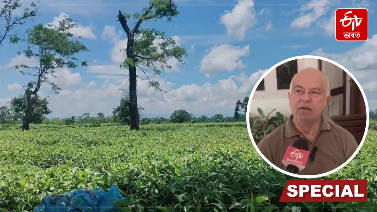 Will the ongoing war in the Middle East affect Assam's tea industry?