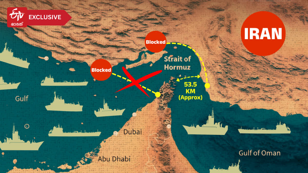 US ISRAEL WAR ON IRAN  US IRAN CONFLICT  HORMUZ SHUTDOWN CONSEQUENCES  CRUDE OIL LPG PETROL DIESEL