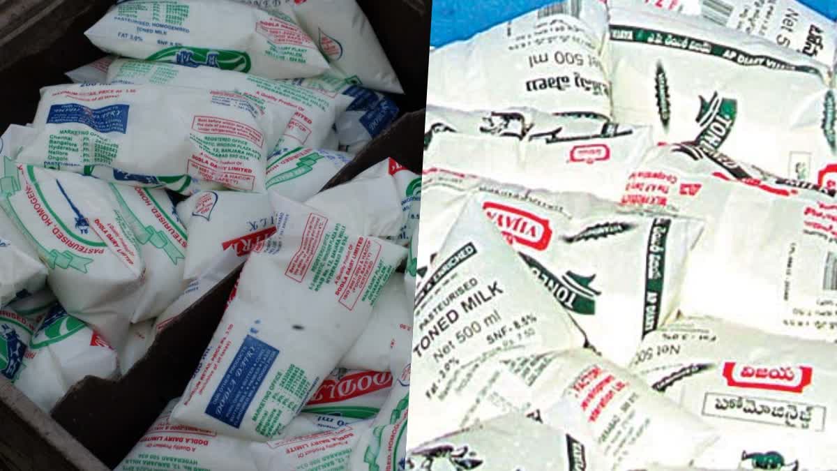 how_to_identify_quality_milk