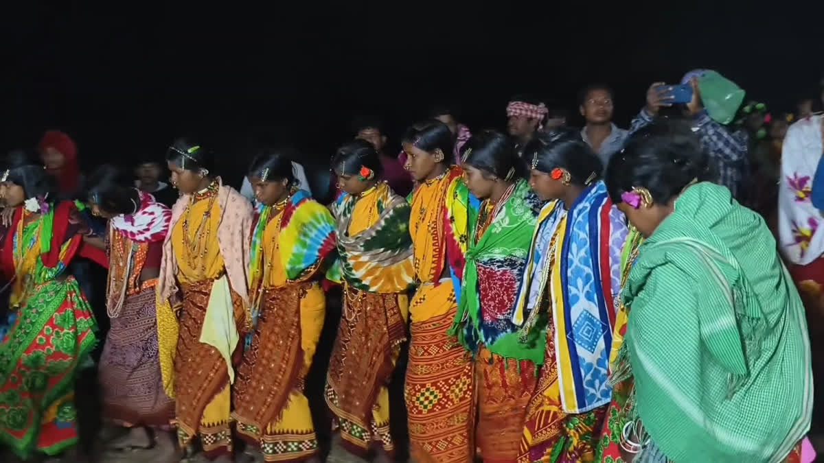 Tribals of Nayamgiri celebrate Nayamraja  festival in Bhawanipatna