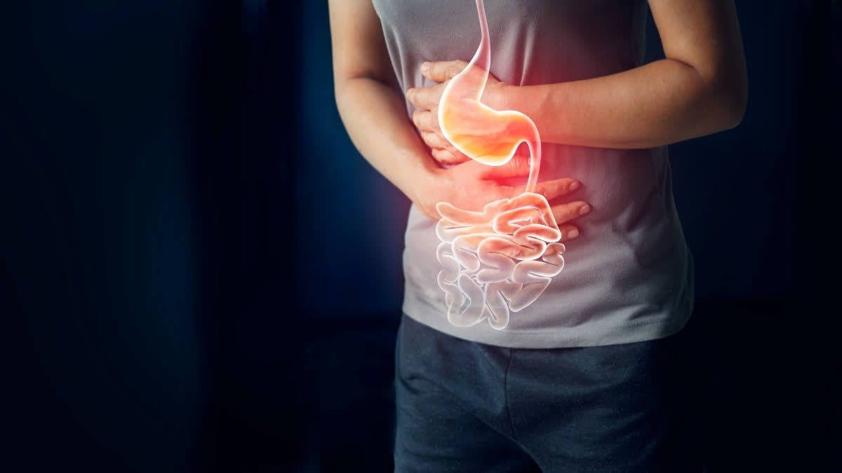 THE WORST FOODS FOR GUT HEALTH  GOOD FOODS TO AID DIGESTION  GUT HEALTH AND BRAIN CONNECTION  ಮಾನಸಿಕ ಆರೋಗ್ಯ ಹೊಟ್ಟೆ ನಡುವಿನ ಸಂಪರ್ಕ