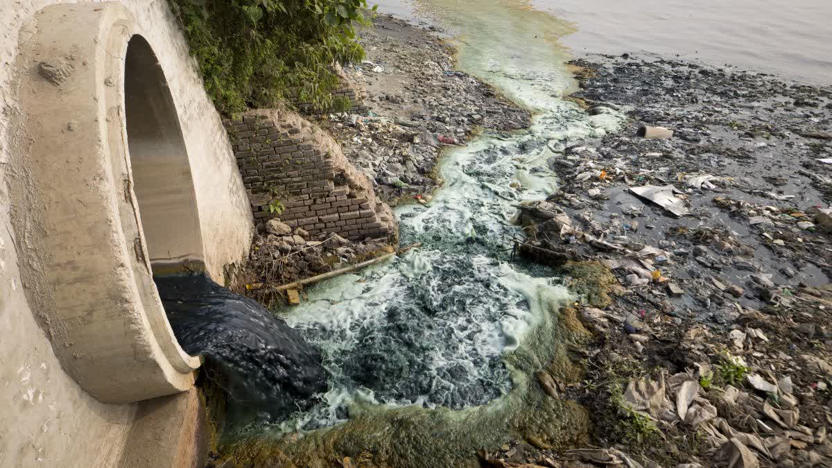 Indian Scientists Develop Nanofibre Membranes That Remove 99% Toxic Dye ...