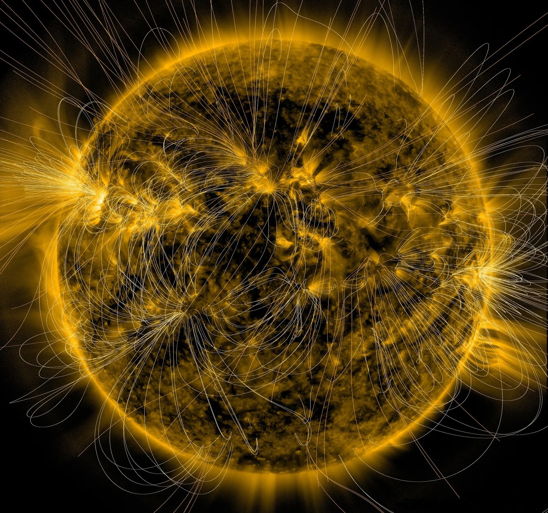 A depiction of the Sun’s magnetic fields overlaid on an image of the Sun captured in extreme ultraviolet light by NASA’s Solar Dynamics Observatory