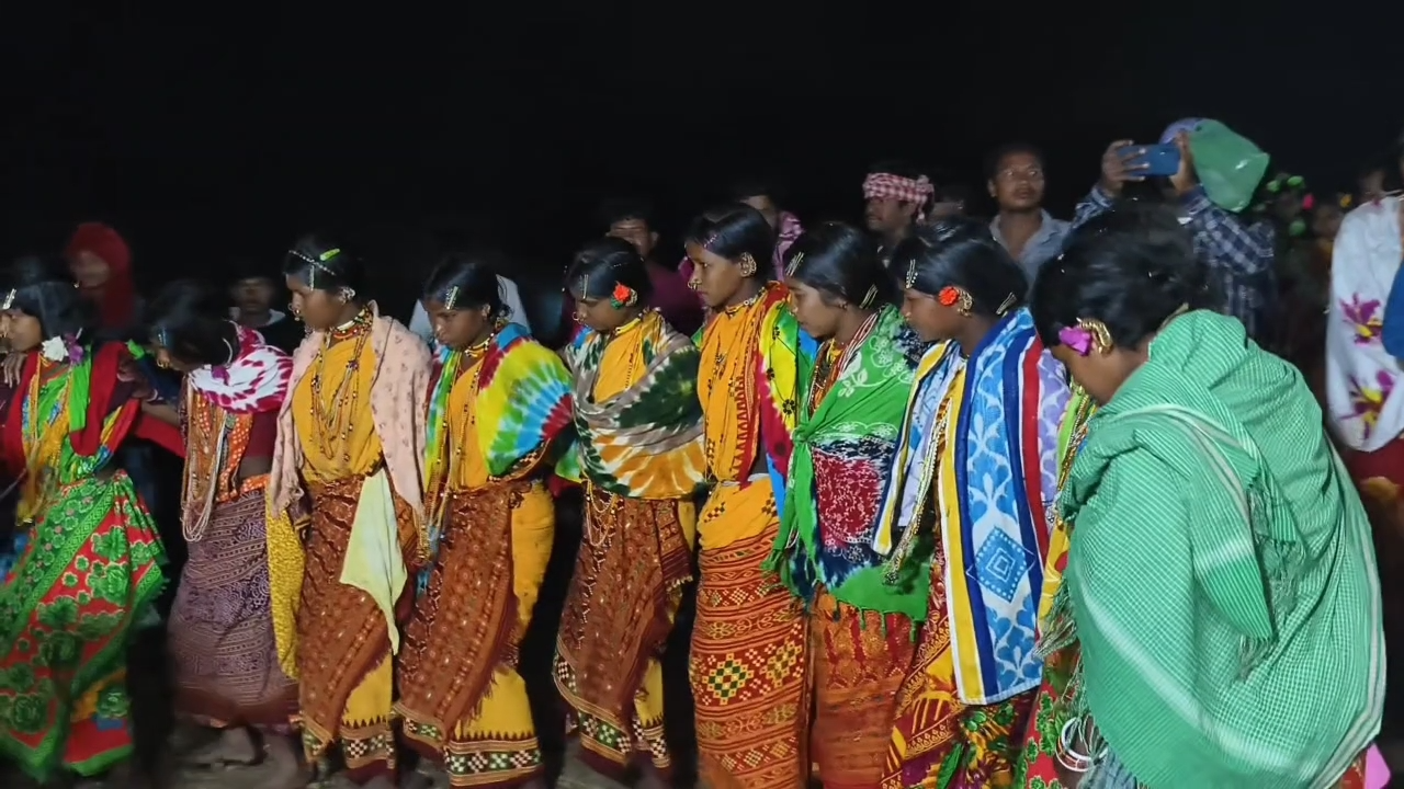 Tribals of Nayamgiri celebrate Nayamraja  festival in Bhawanipatna