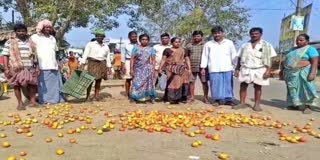 Farmers Protest Over Falling Tomato Rate in Anakapalli District