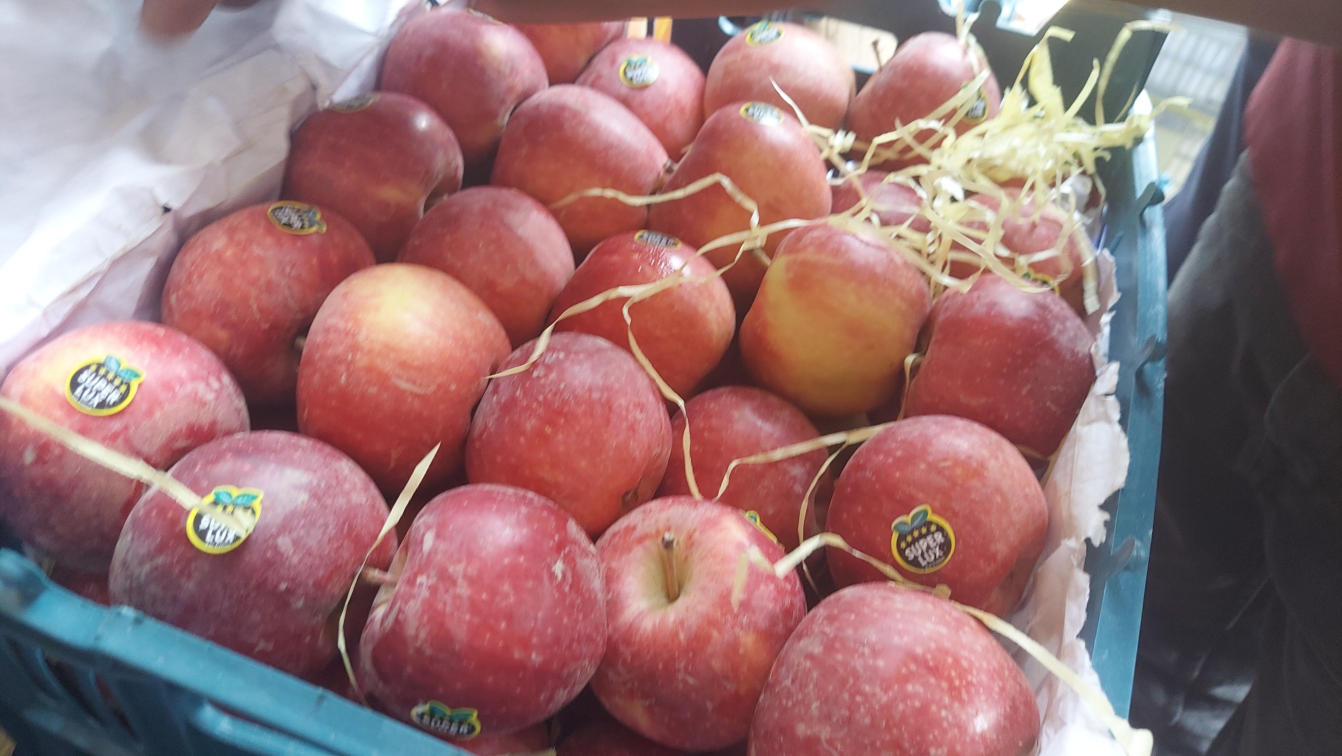 US-Iran war affects fruit trade; Iranian apples become more expensive