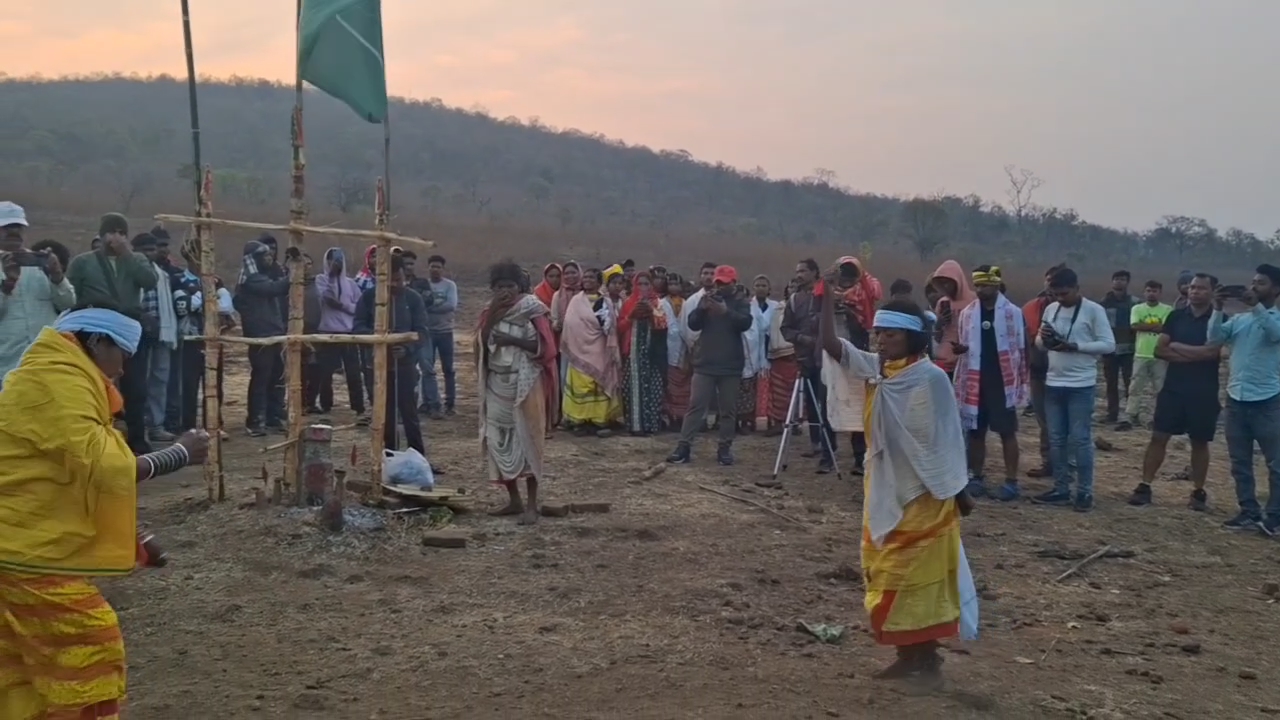 Tribals of Nayamgiri celebrate Nayamraja  festival in Bhawanipatna