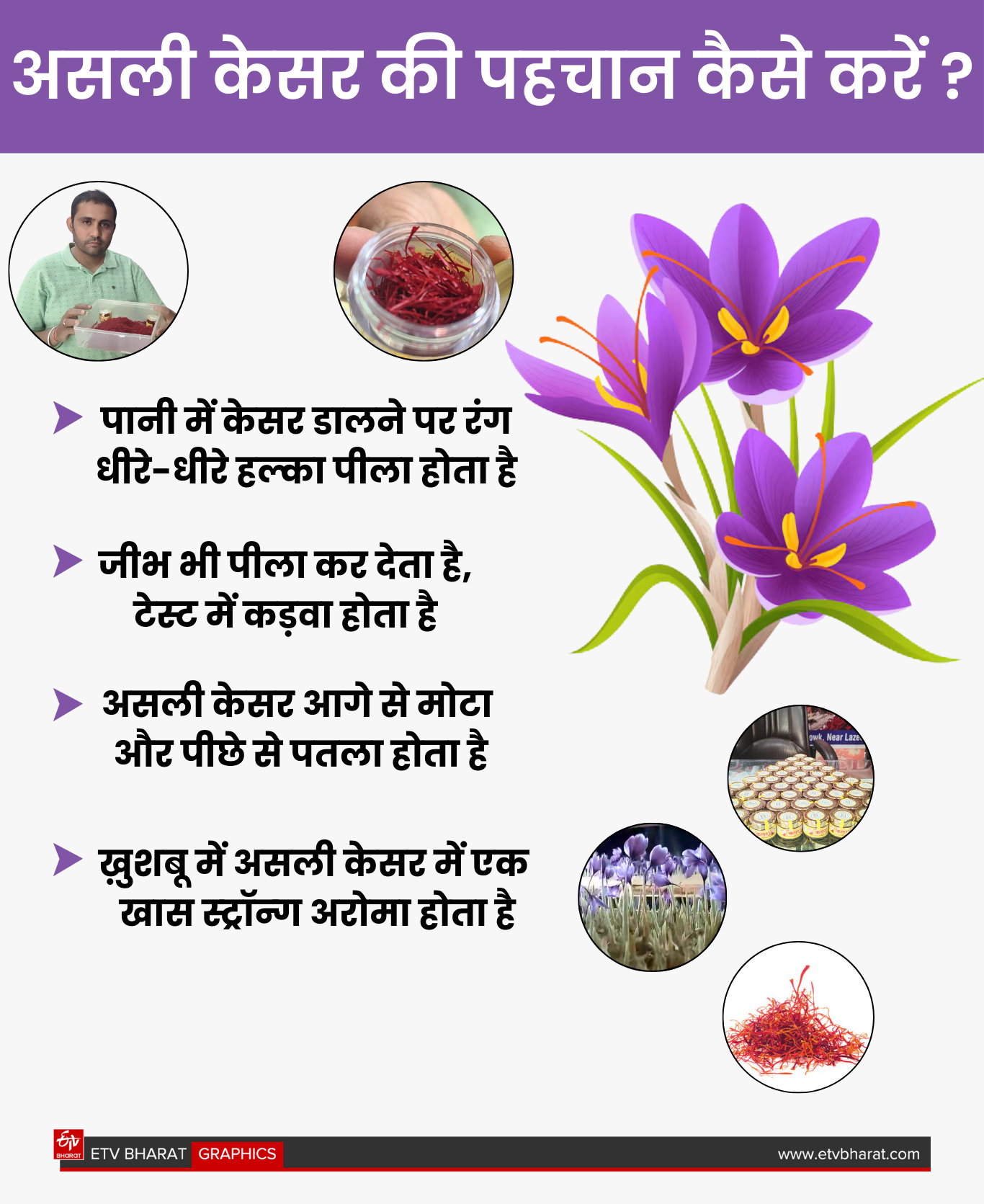 Saffron Farming Success Story Praveen Sindhu Navin Sindhu of Hisar Haryana became rich by growing saffron of Kashmir in their room