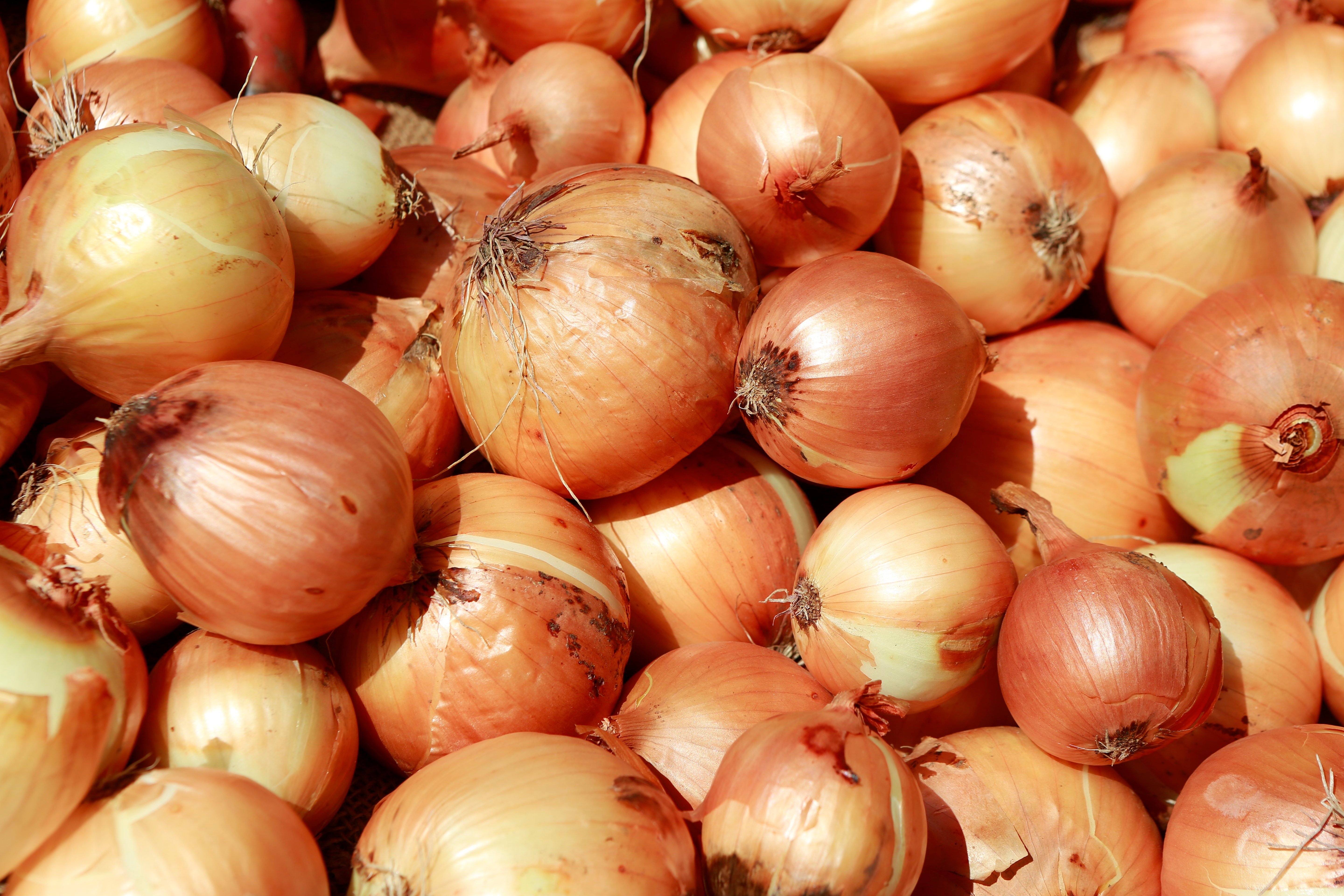 Onions