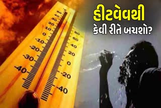 હીટવેવથી બચવા સરકારે માર્ગદર્શિકા જાહેર કરી