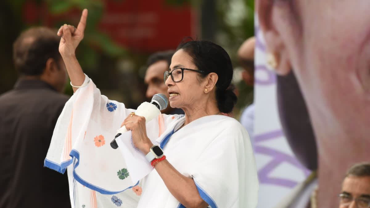 mamata banerjee