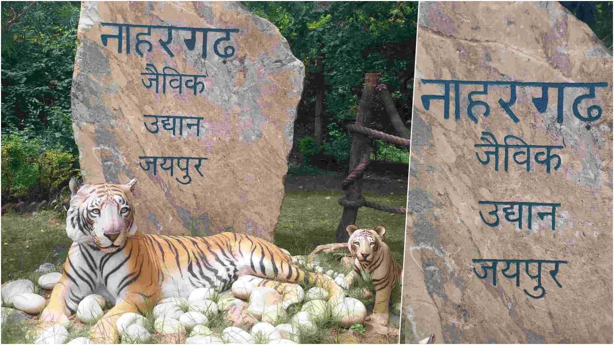 Jaipur Nahargarh Biological Park