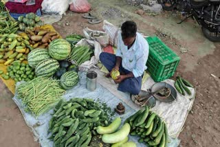shahdol organic vegetable farming
