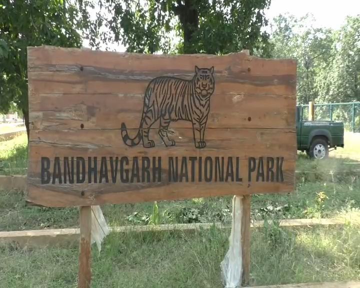 UMARIA BANDHAVGARH TIGER RESERVE