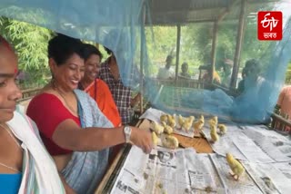 Poultry Value Chain Launched