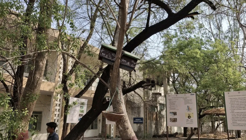 Bhopal Barkatullah University