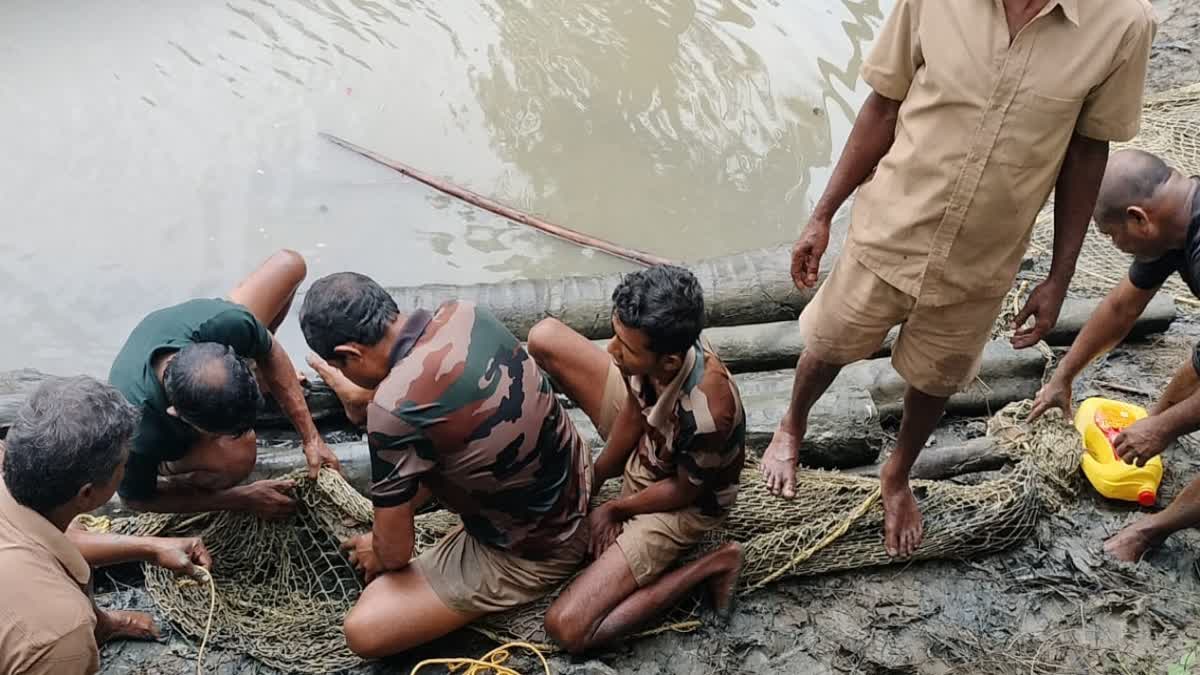 CROCODILE RESCUED IN PATHARPRATIMA