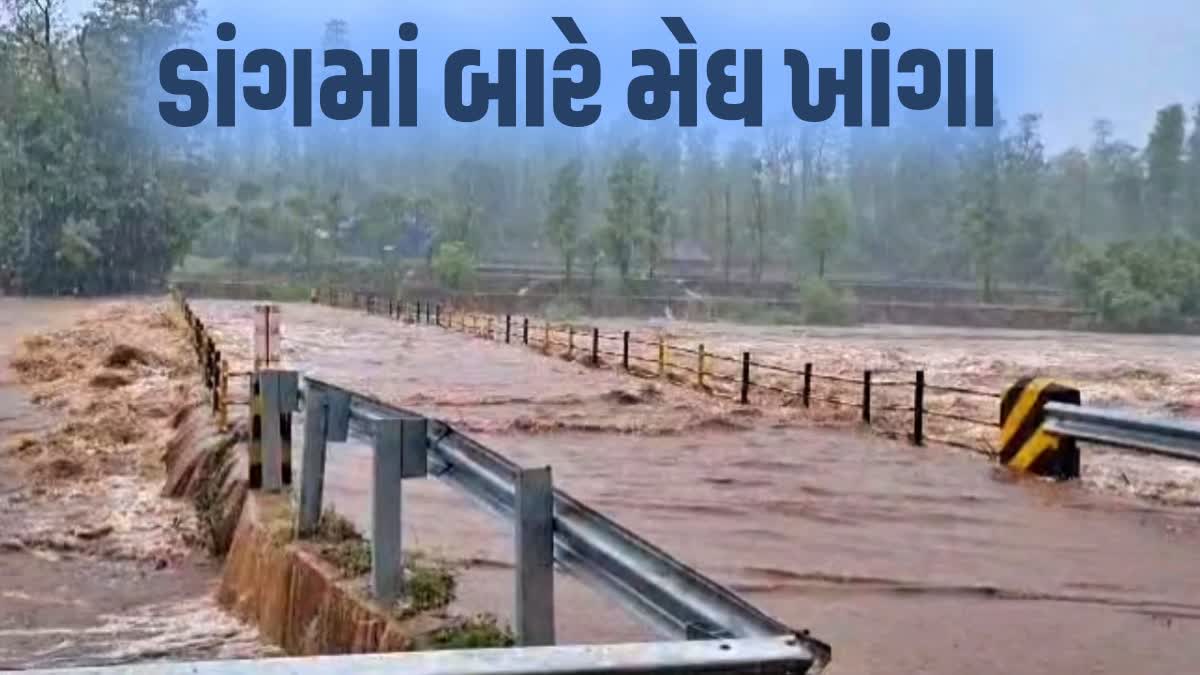 ડાંગ જિલ્લામાં મેઘરાજાની તોફાની બેટિંગ