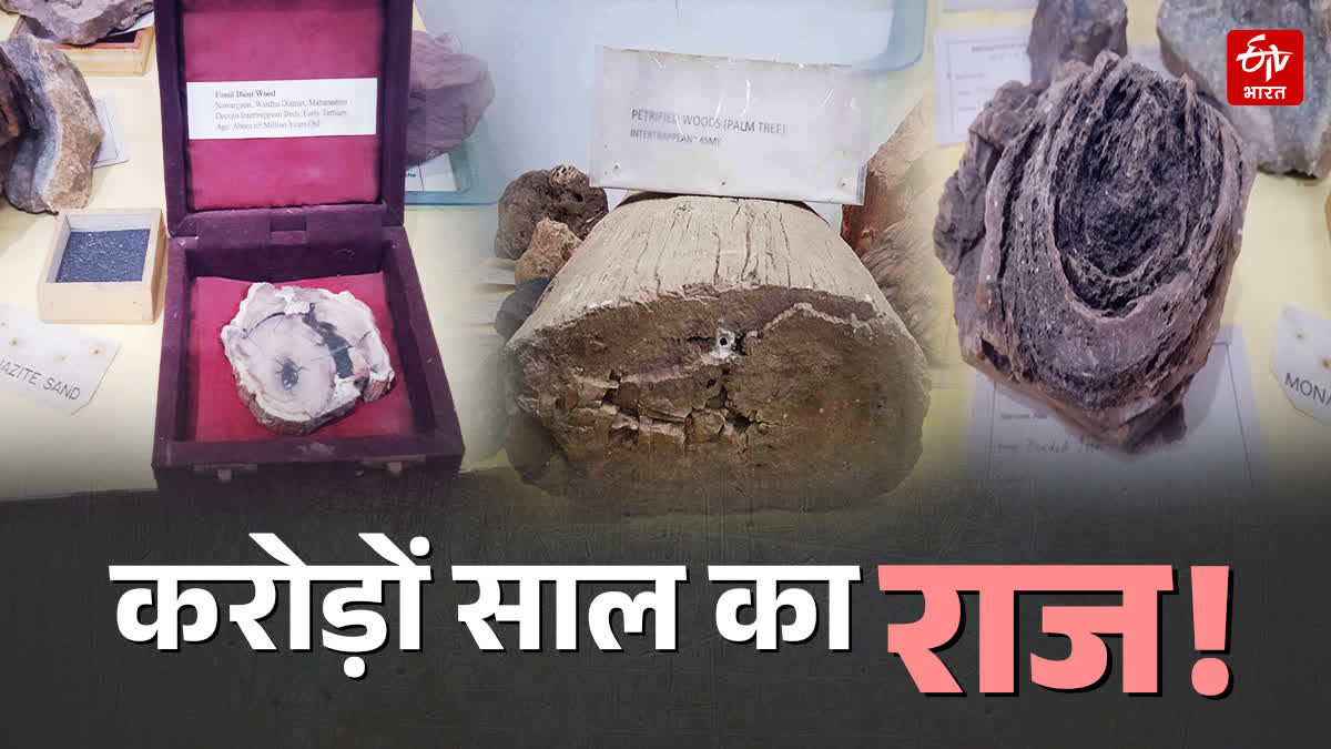 SAGAR UNIVERSITY MUSEUM