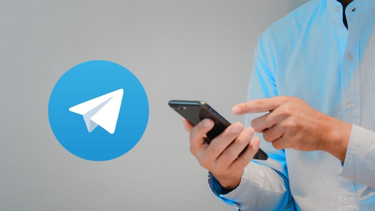 Telegram, Signal, username feature