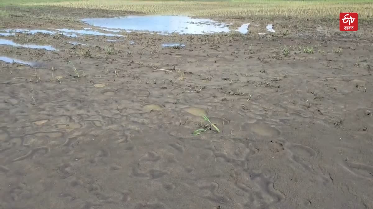 Flood hits Jonai
