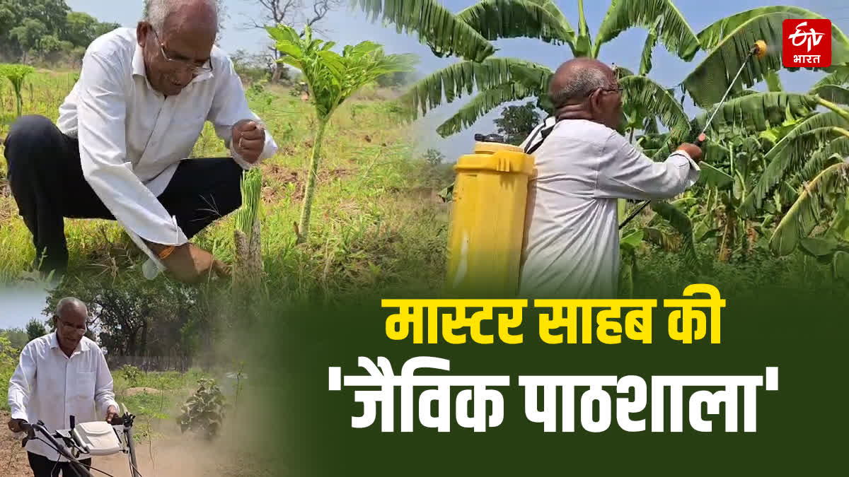 ORGANIC FARMING IN CHATRA