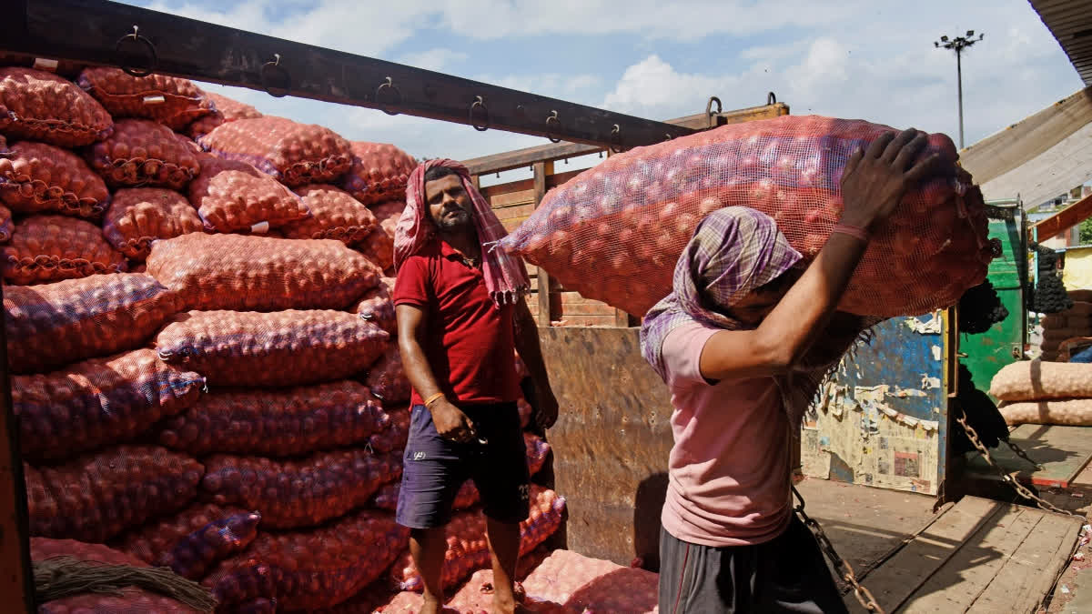 ONION PROCUREMENT PRICE