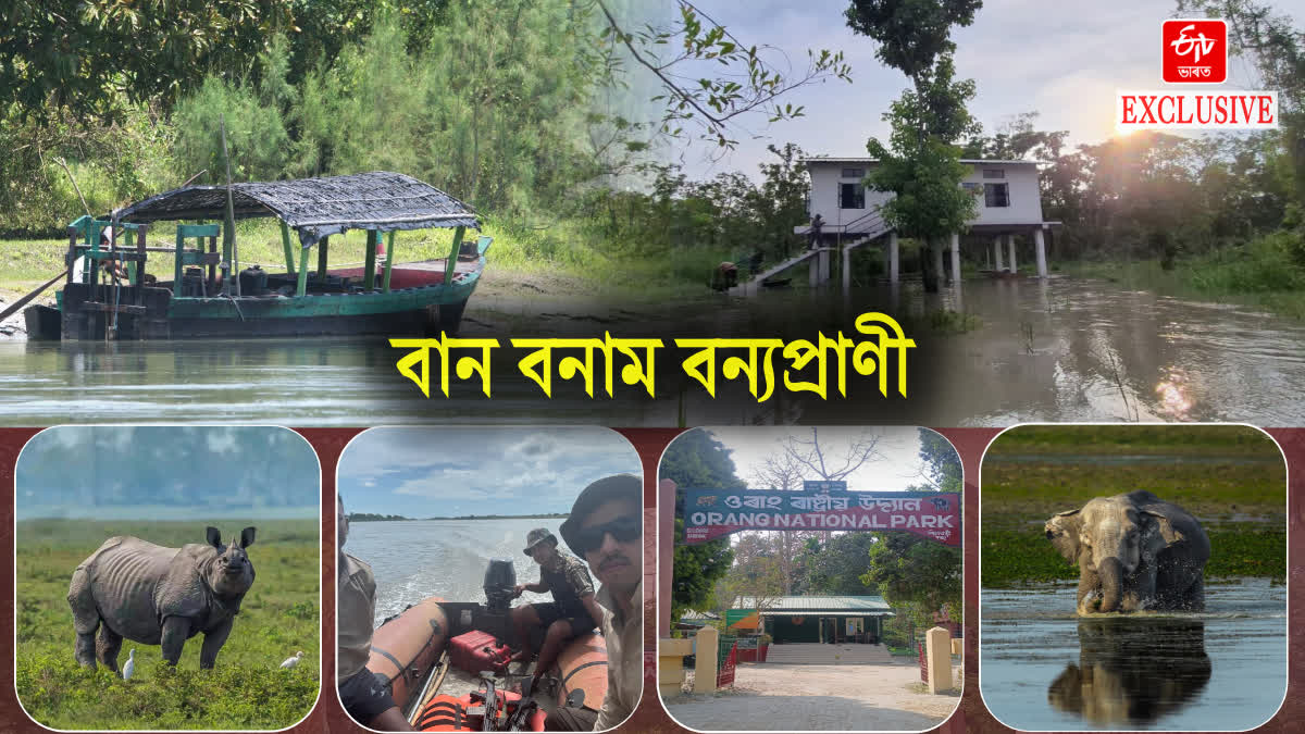 Assam National Parks