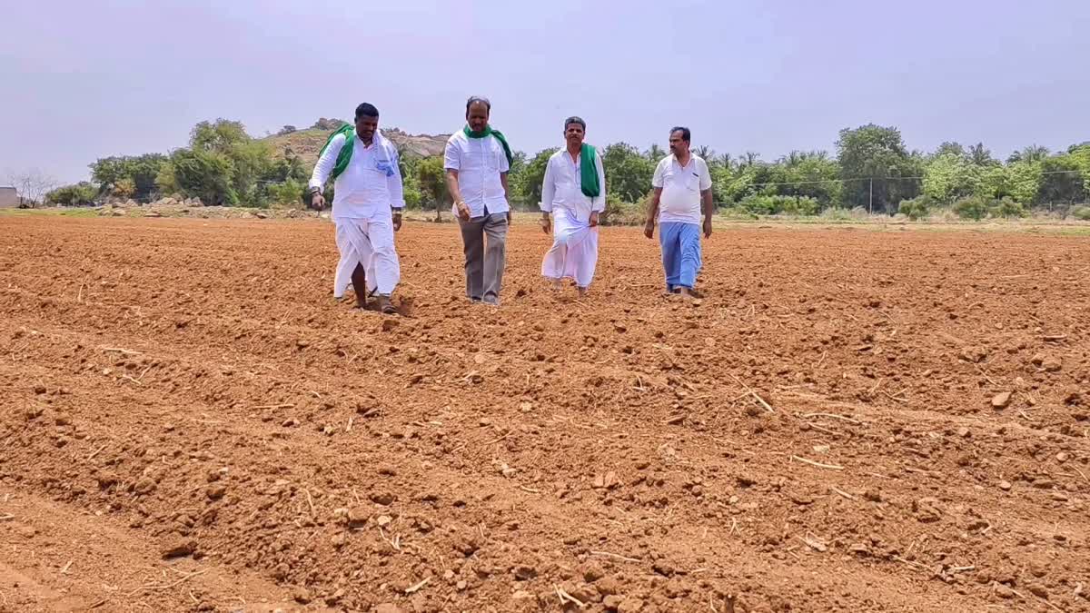 farmers