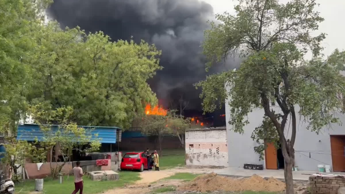 Massive fire at a warehouse in Wazirpur Gurugram