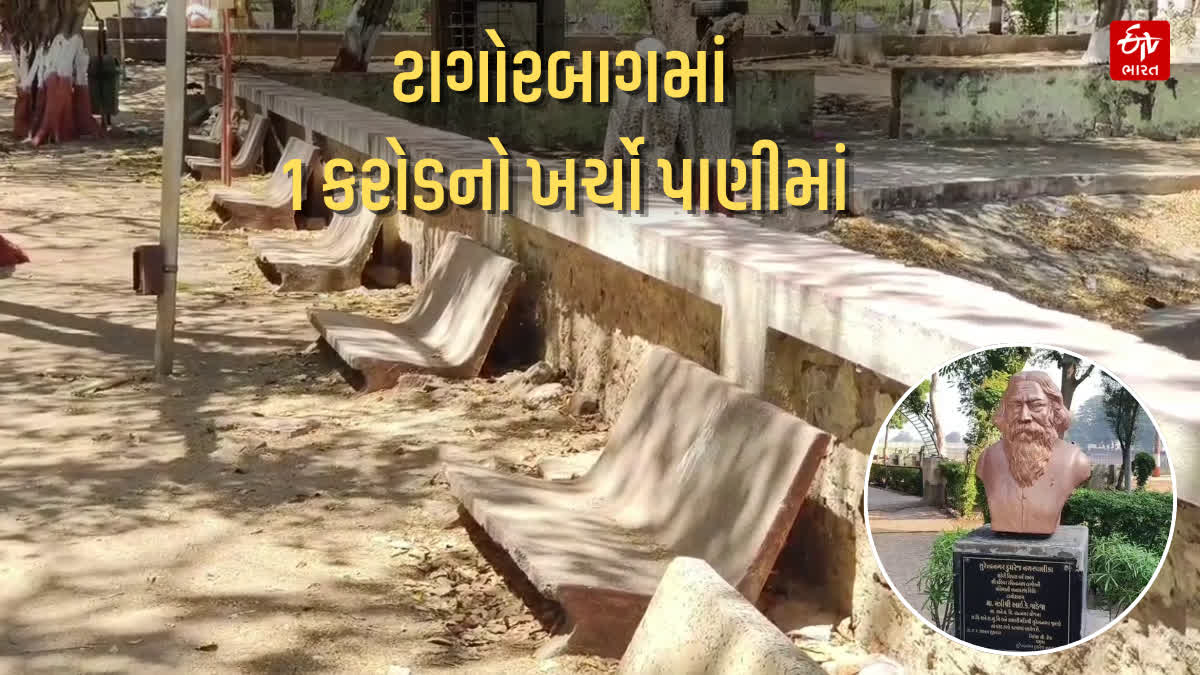 1 કરોડ ખર્ચ્યા છતાં ટાગોરબાગમાં પ્રાથમિક સુવિધાનો અભાવ