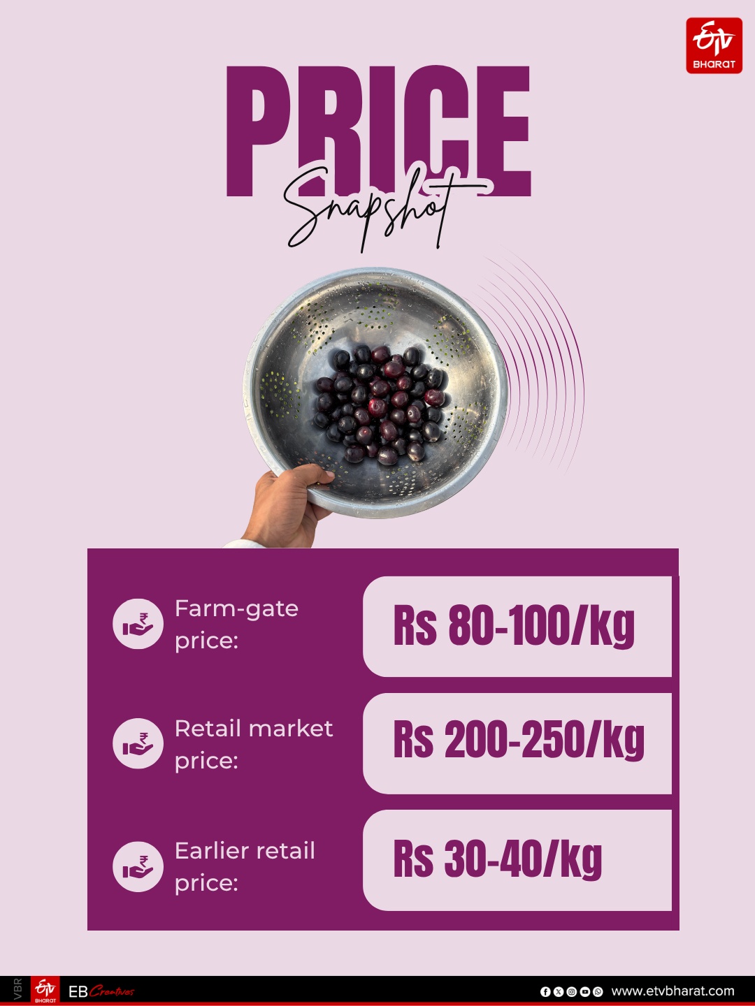 Pushkar’s Jamun Boom: The Superfruit Farmers Risk Their Lives To Harvest, Sell For Rs 200–250 Per KG