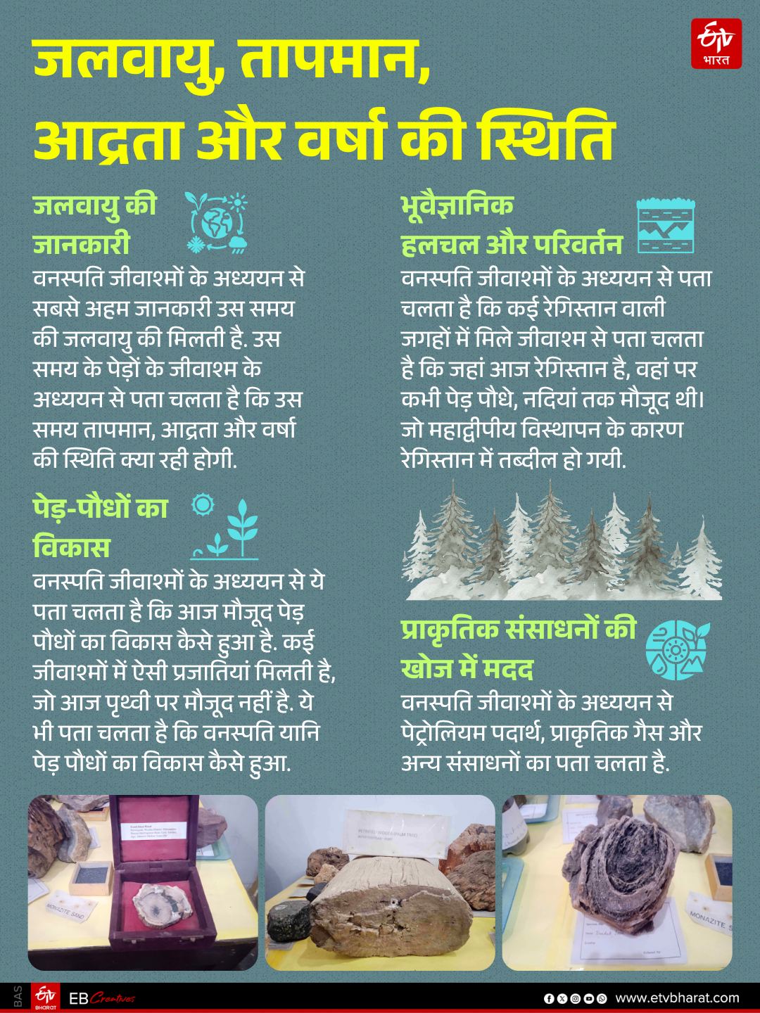 180 CRORE YEAR OLD ALGAE FOSSIL