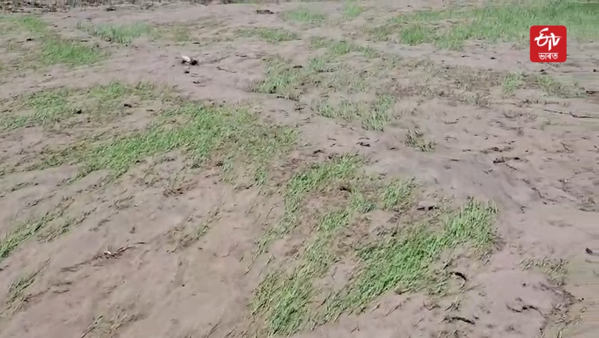 Flood hits Jonai