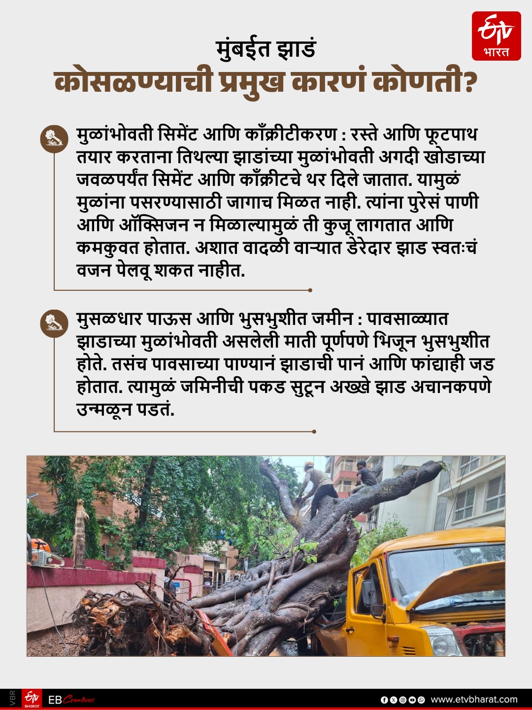 Why trees collapse cases suddenly increased from last few years in Mumbai and MMR?