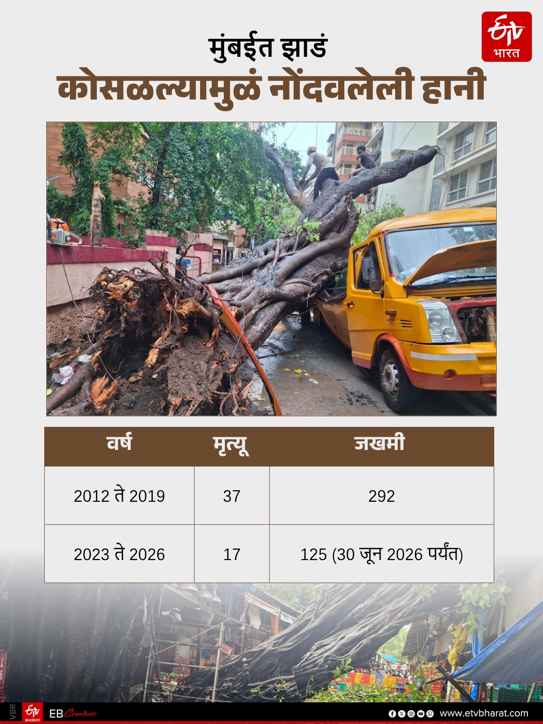 Why trees collapse cases suddenly increased from last few years in Mumbai and MMR?