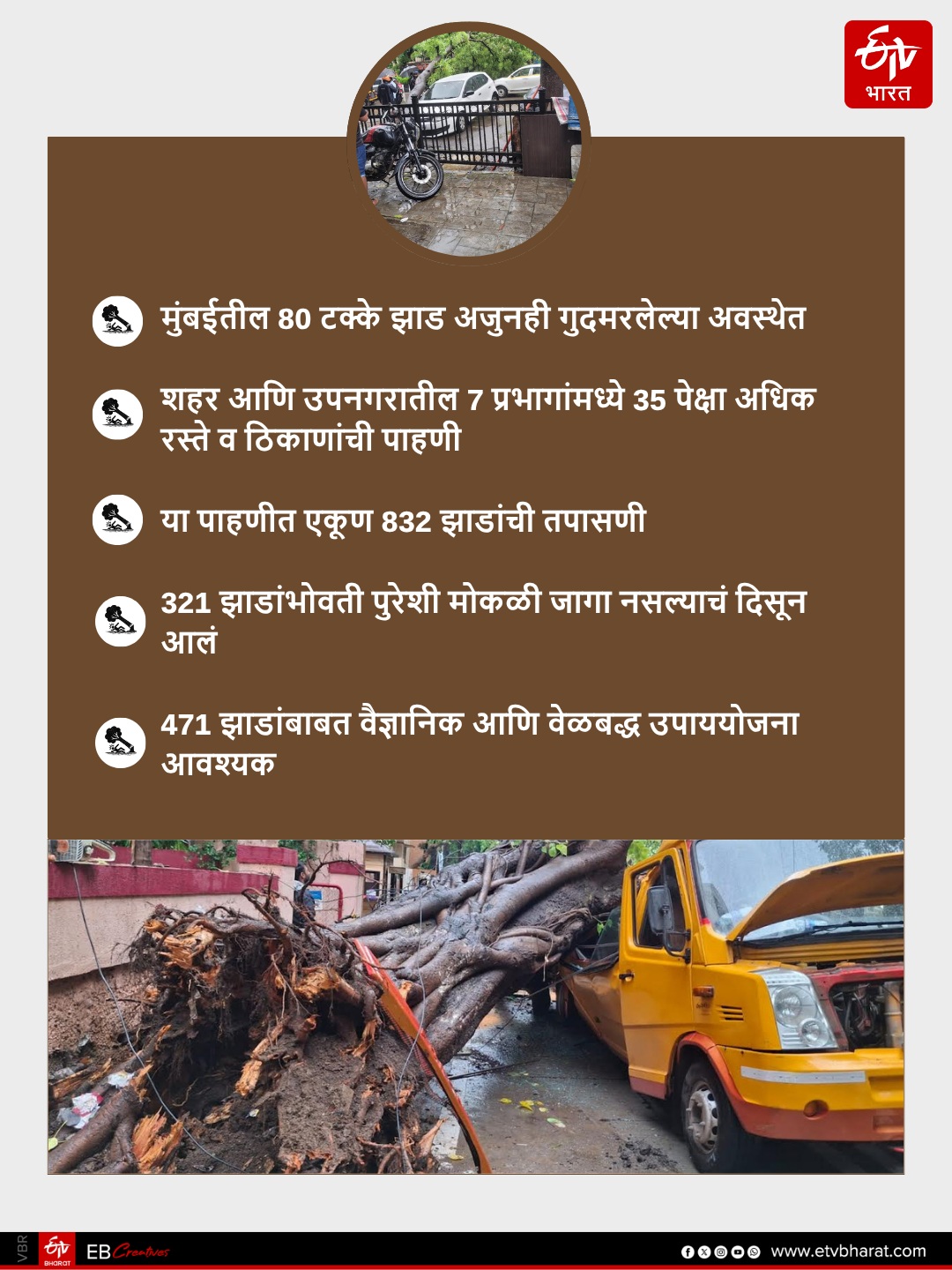 Why trees collapse cases suddenly increased from last few years in Mumbai and MMR?