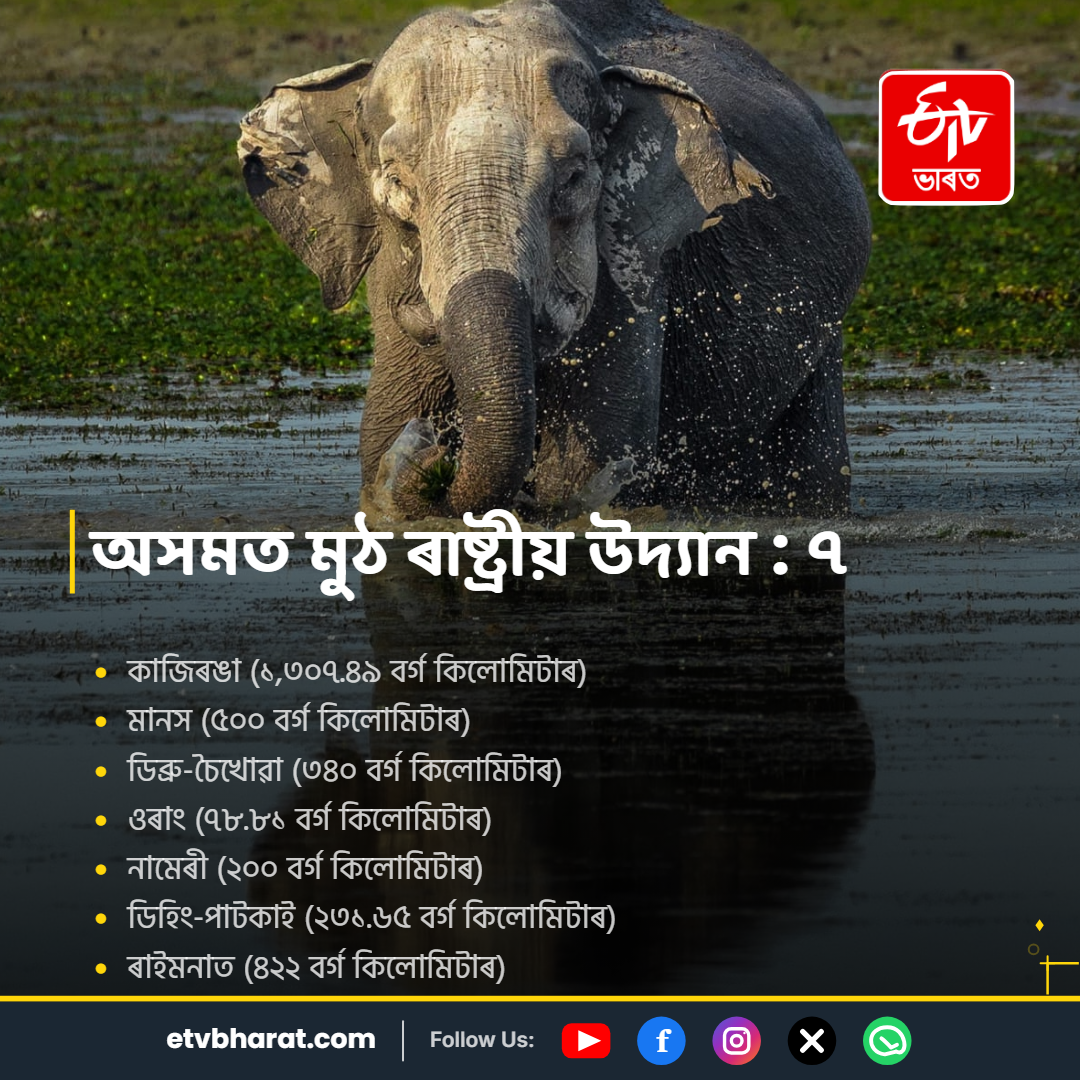 Assam National Parks