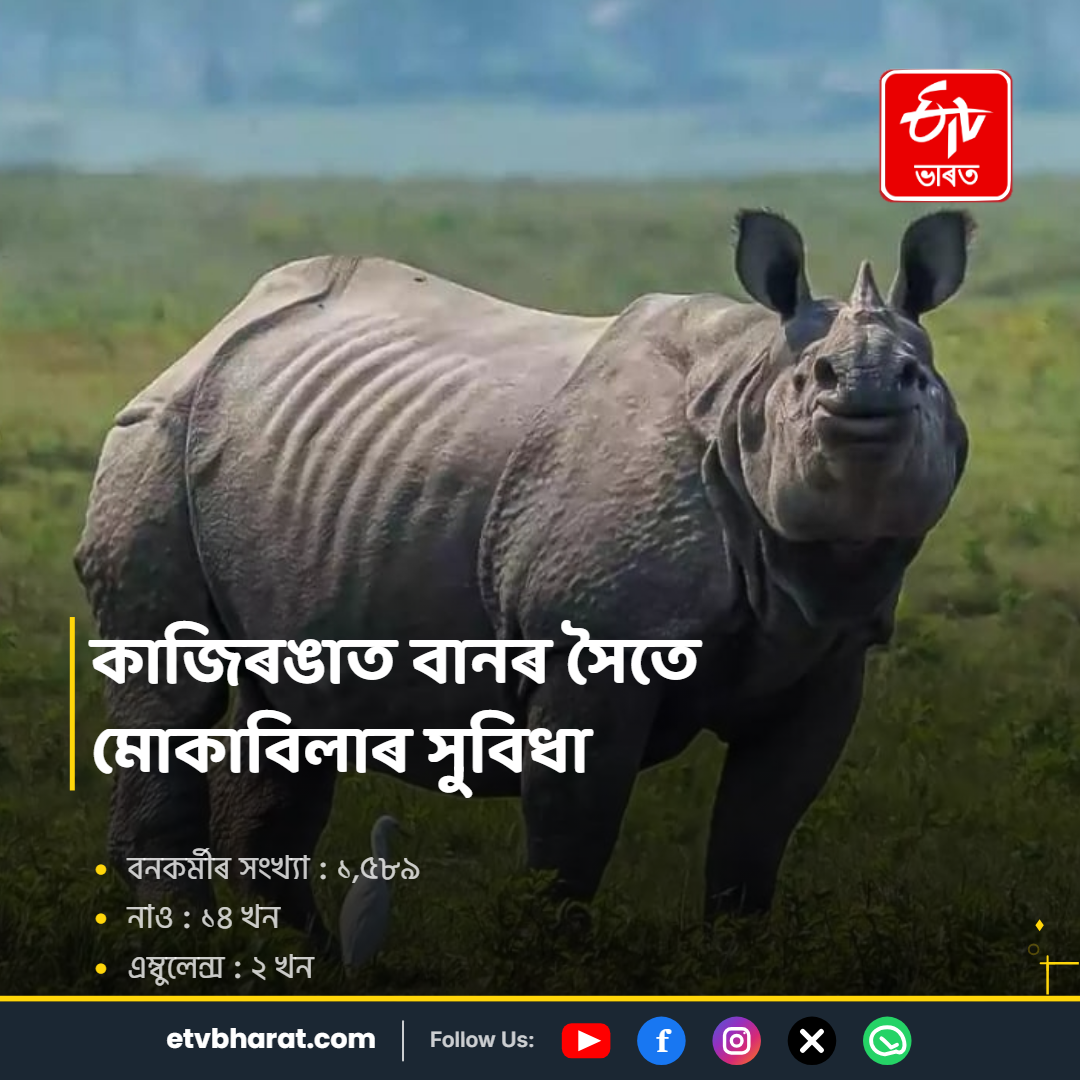 Assam National Parks