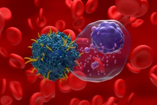 Multiple Myeloma