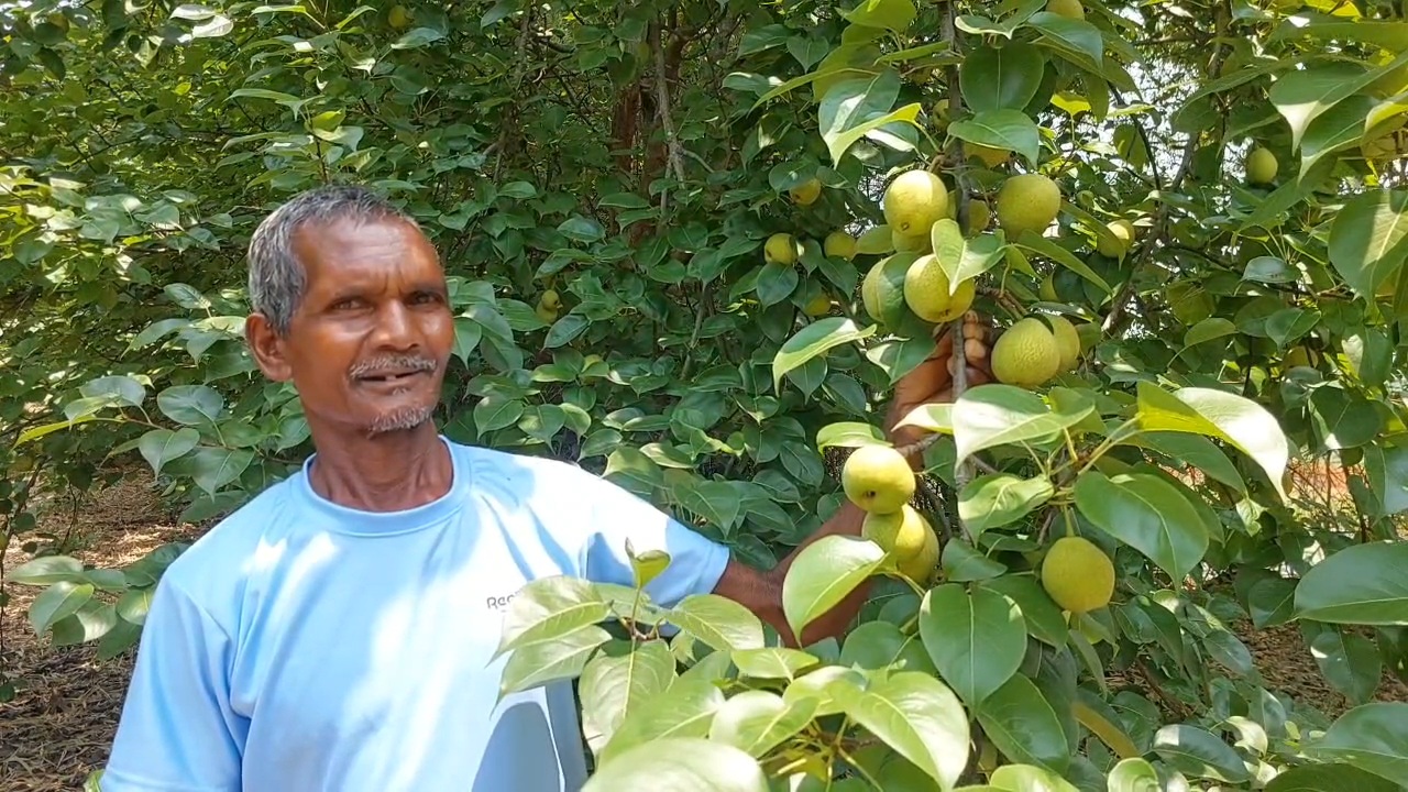 What is cash crop