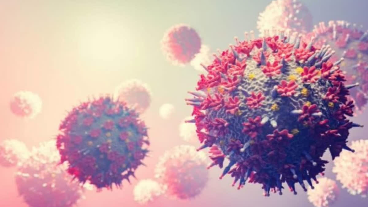 EBOLA INFECTION  ಎಬೋಲಾ ಸೋಂಕು  MOLECULAR DIAGNOSTIC TEST  EBOLA CASES