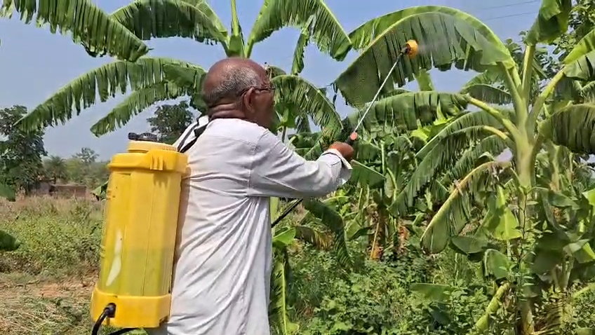 Organic Farming in chatra