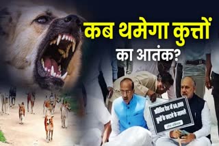 आवारा कुत्तों के आतंक