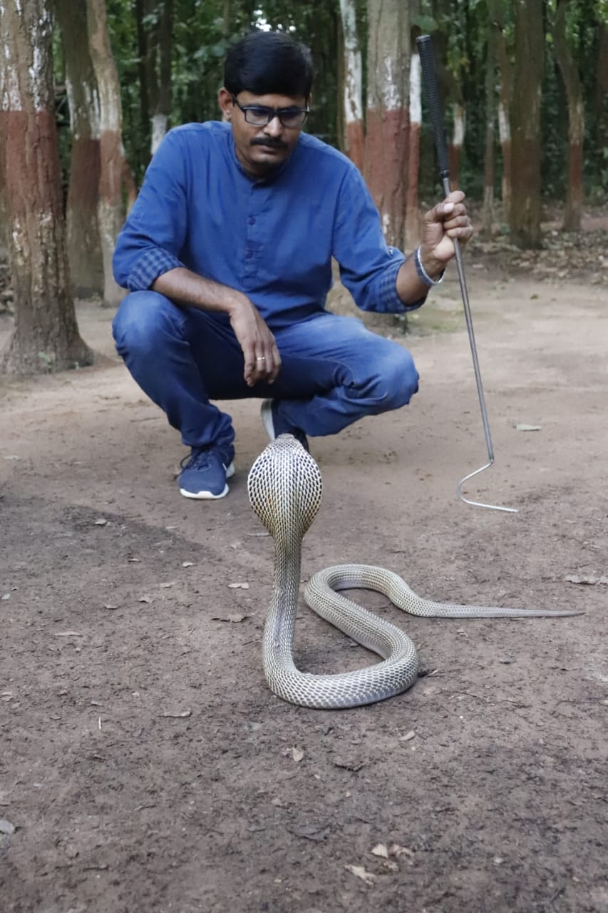 SNAKE RESCUER RAMESH MAHTOhttps://imgs.etvbharat.com/etvbharat/prod-images/04-08-2025/jh-ran-01-spsl-pkz-7212717_01082025125620_0108f_1754033180_787.jpg
