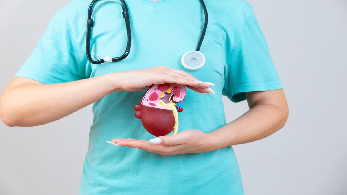 kidney stones in children