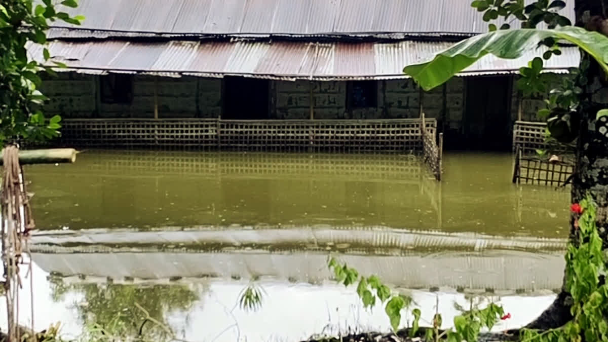 assam flood
