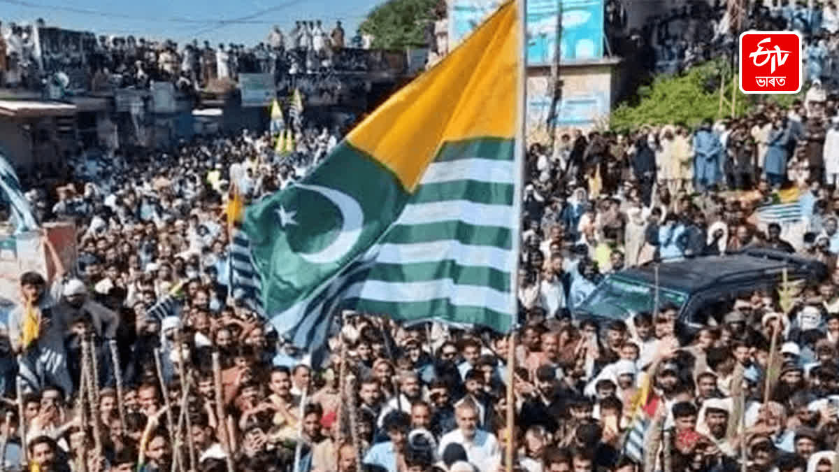 PoJK: JKJAAC claims sit-ins continue in Rawalakot, alleges Kashmiri students detained in Rawalpindi