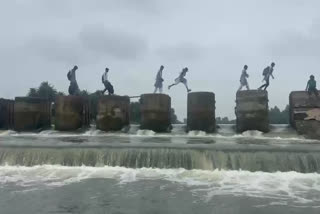 Watch | Students Risk Lives Jumping Over Pillars Crossing Swollen Betwa River To Reach School In MP